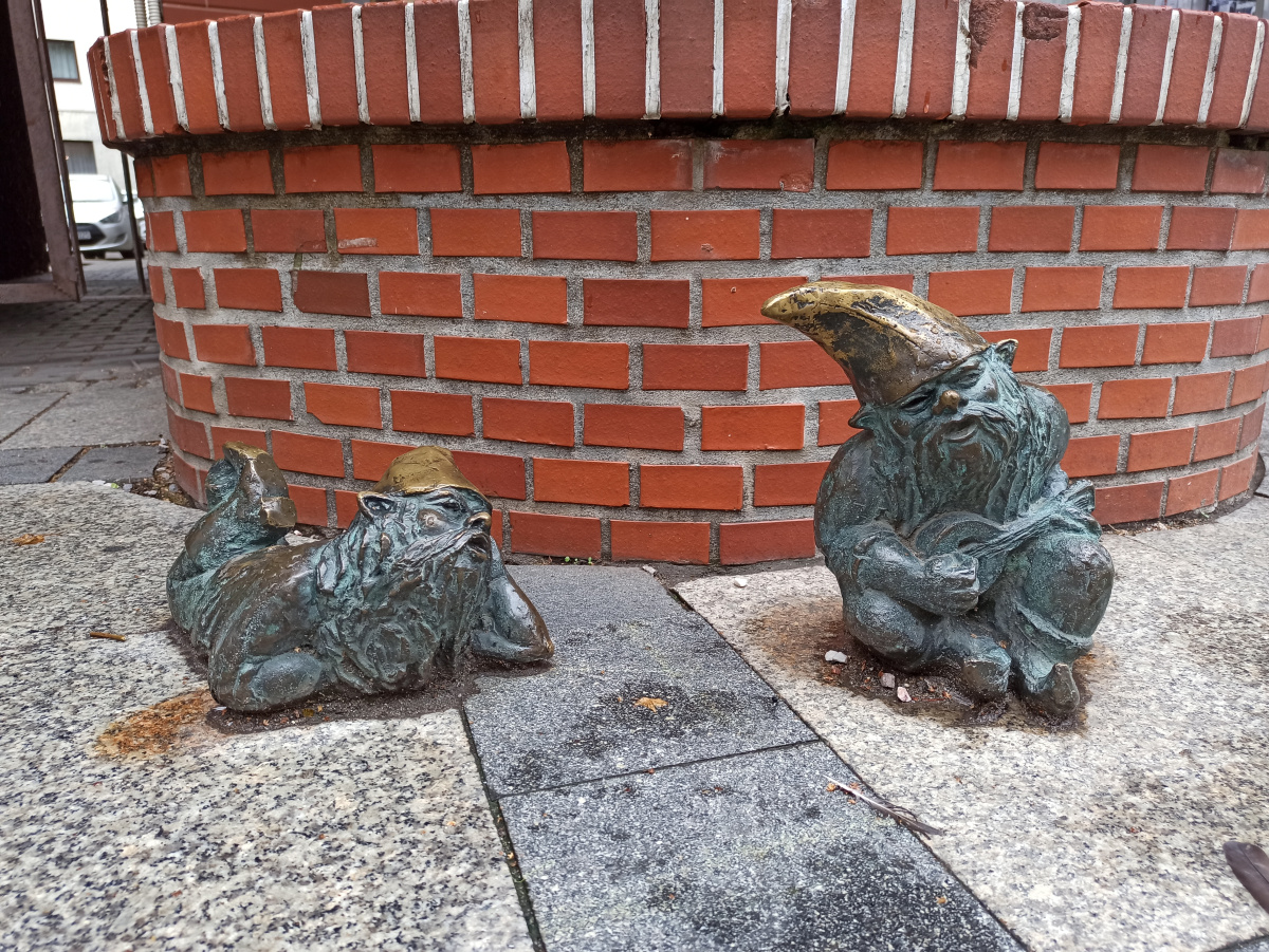 Foto zwerge Grajek i Meloman