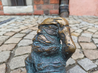 Foto eines Zwerges W-Skers