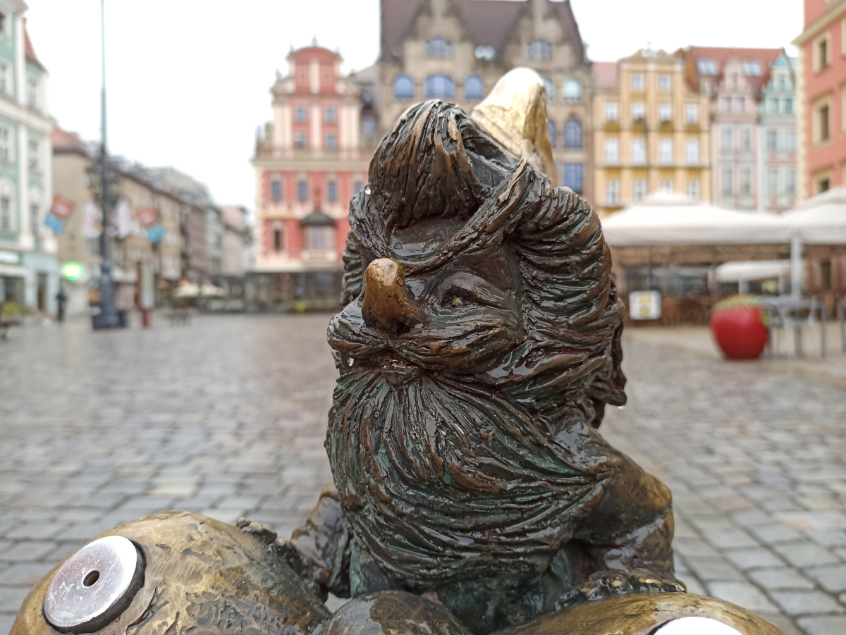 Foto zwerg Orzeźwiacz in Nahaufnahme