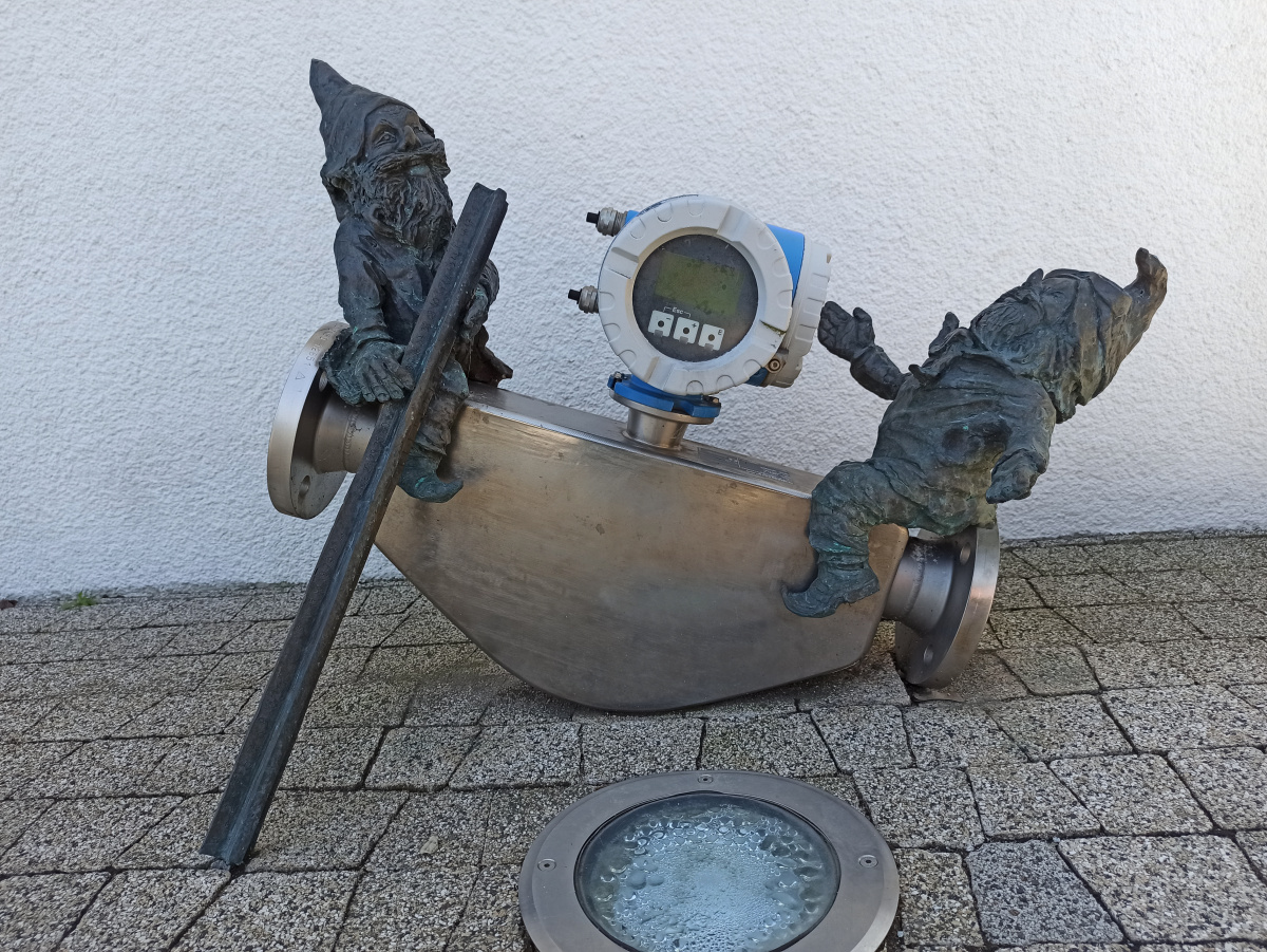 Foto zwerge Endress i Hauser