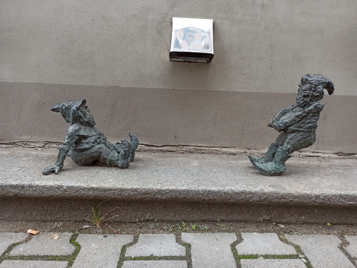 Foto zwerge RoyalDenciaki
