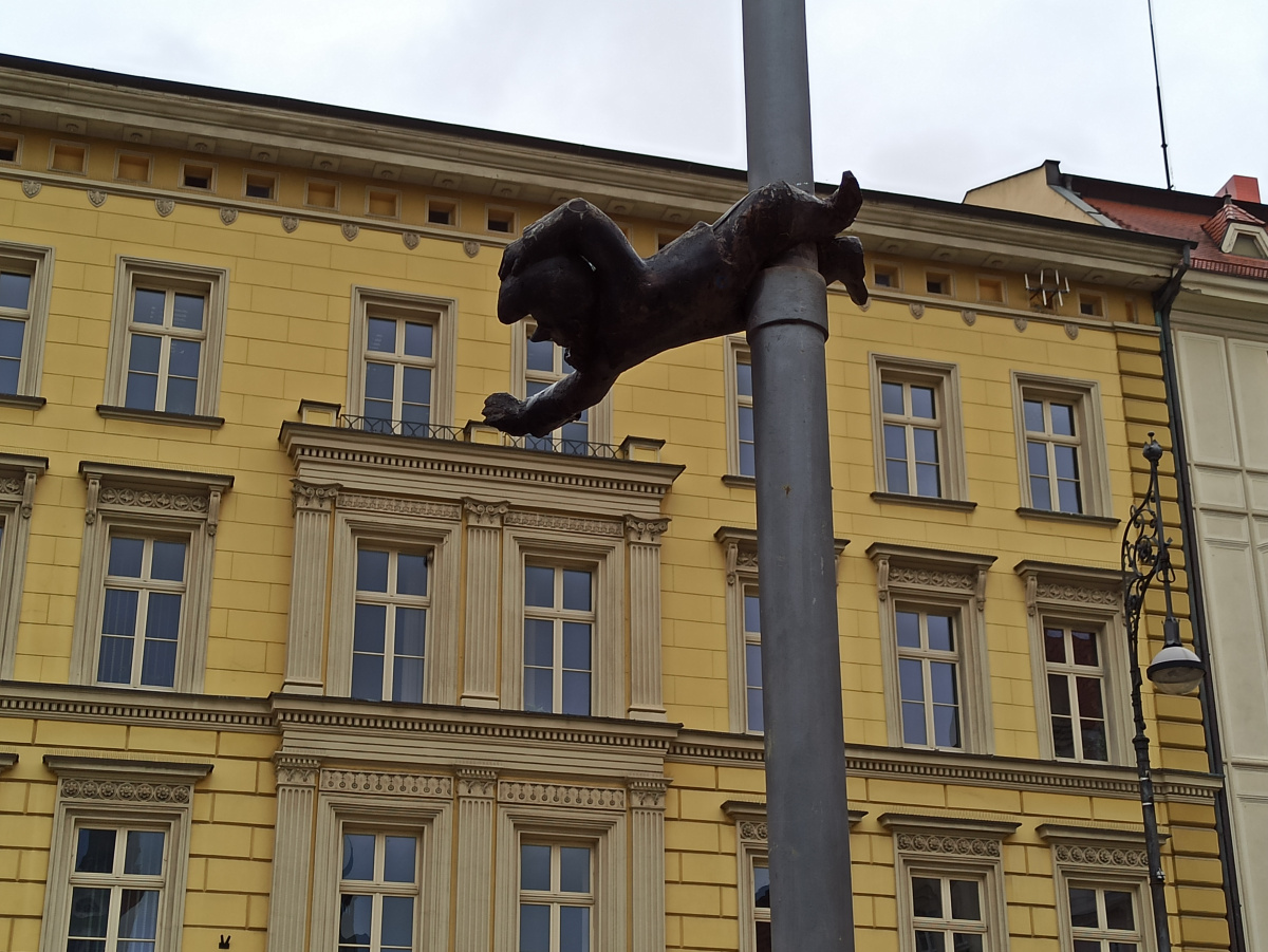 Foto zwerg Słupnik Solny