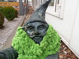 Foto eines Zwerges Waguś