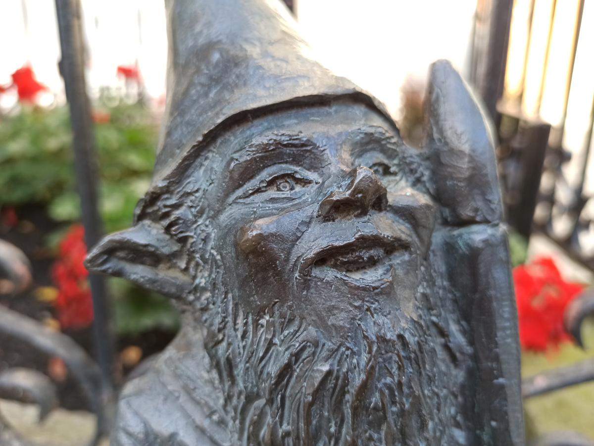 Photo of dwarf Ursus close-up