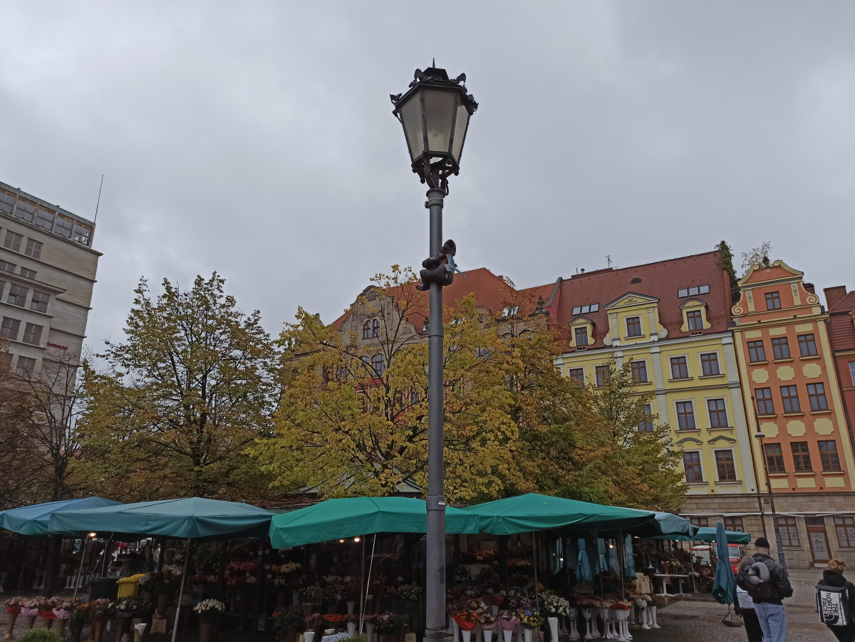 Foto zwerg Słupnik Solny