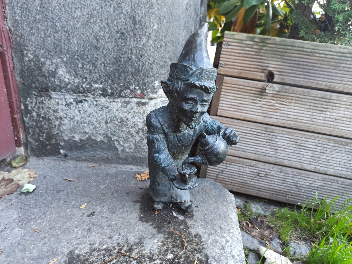 Foto zwerg Yunnanka (Yunnanek)