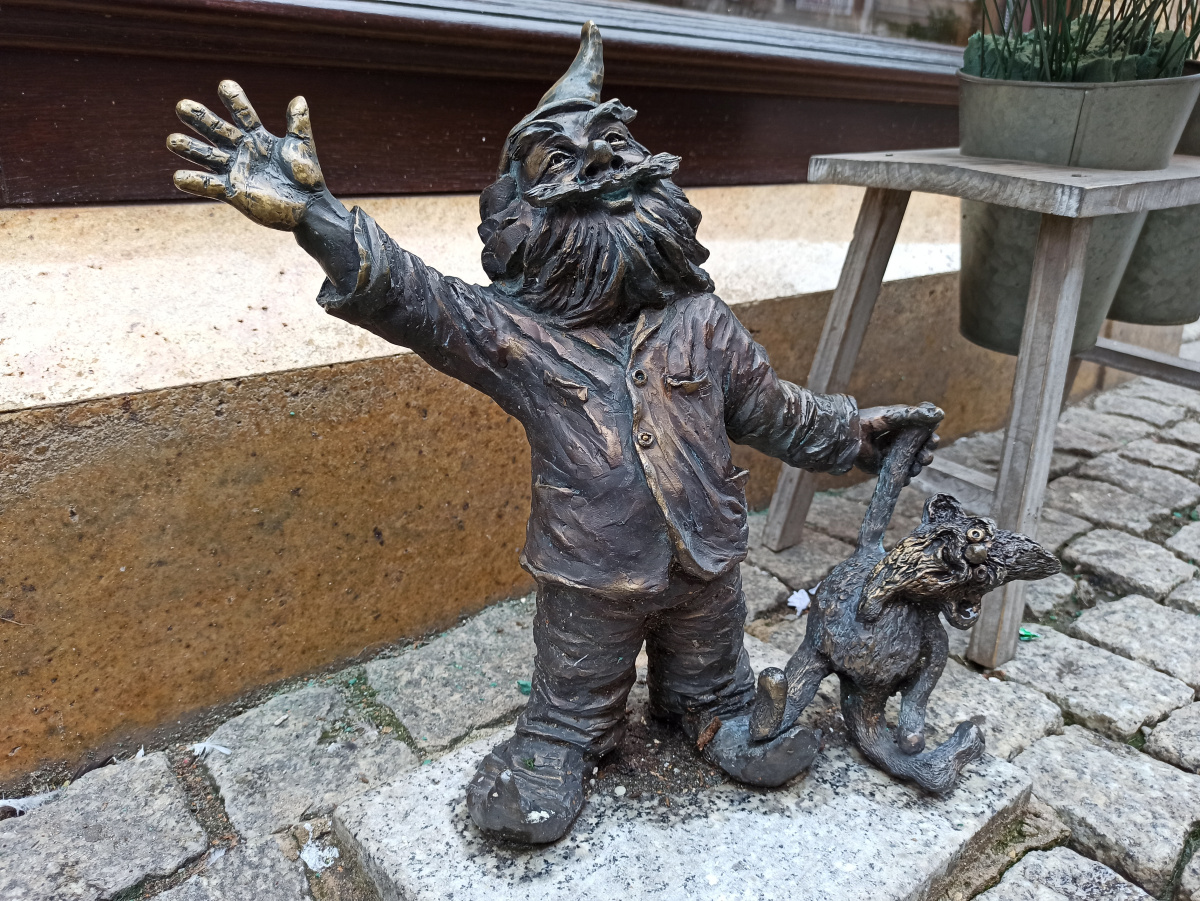 Foto zwerg Niespodzianek (Toysik)