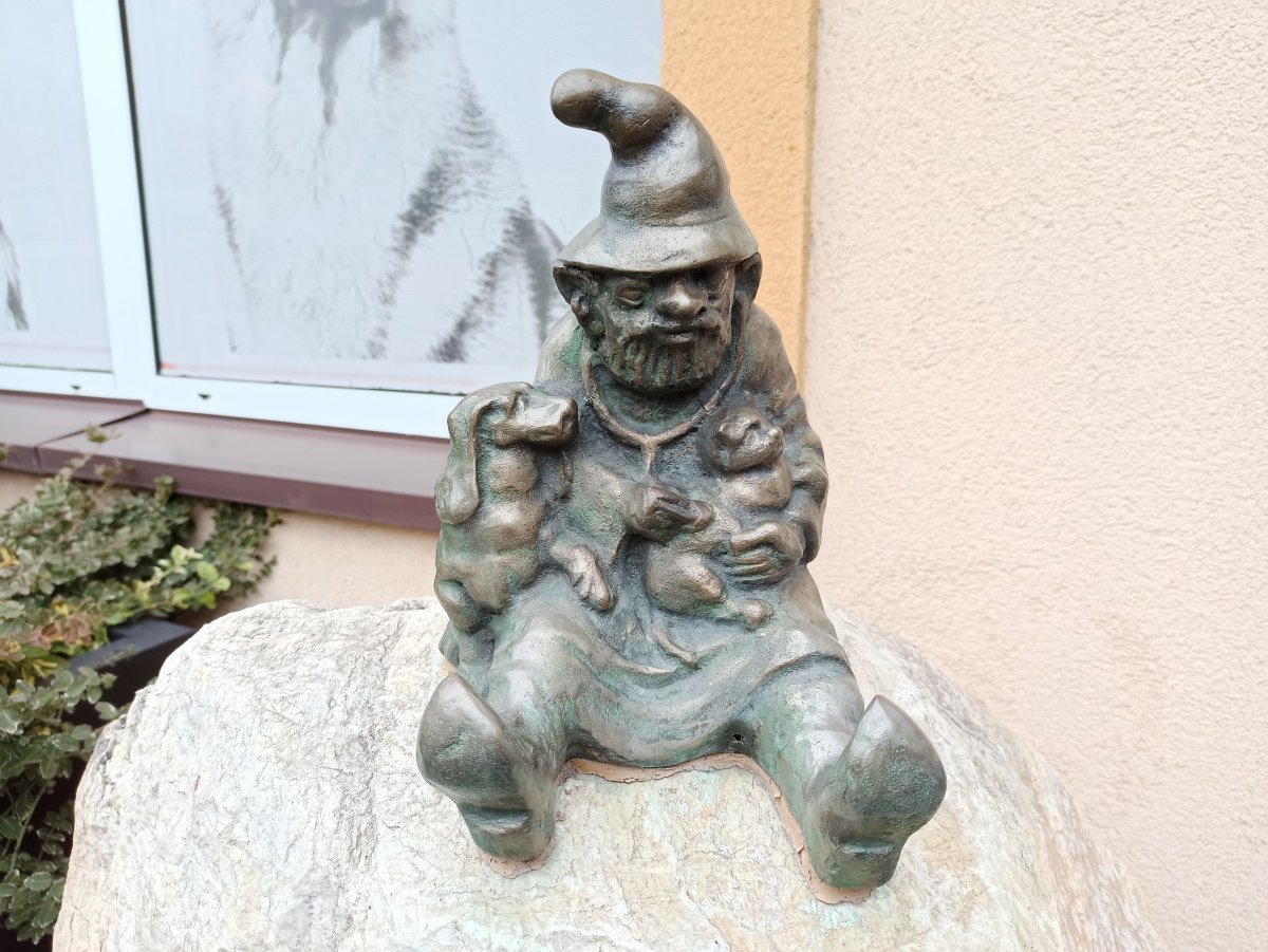 Foto zwerg Weterynarz