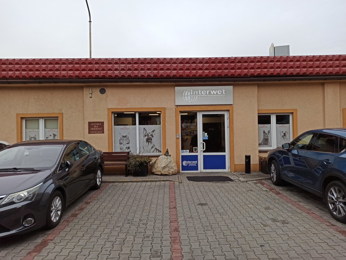 Foto vom Standort des Zwerges zwerg Weterynarz