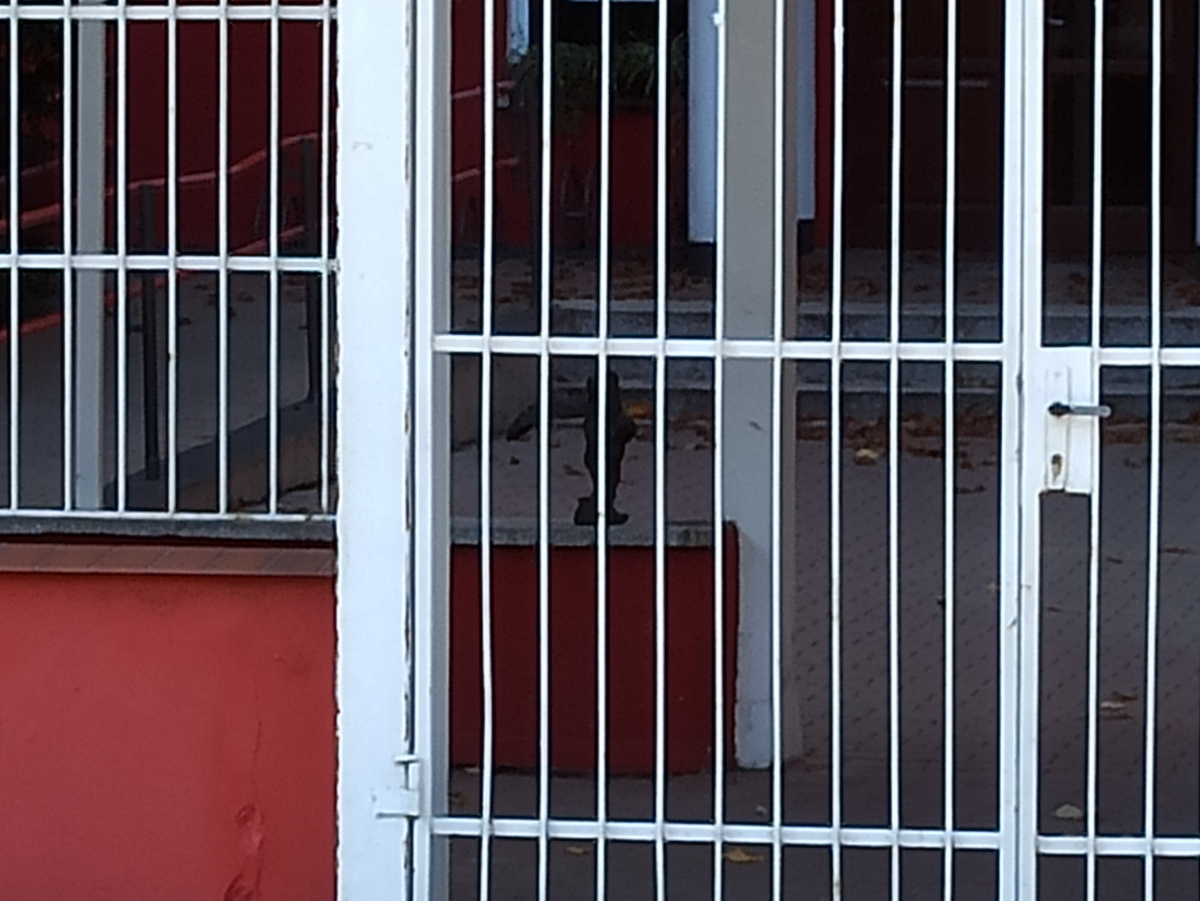 Foto zwerg Trzynastek in Nahaufnahme