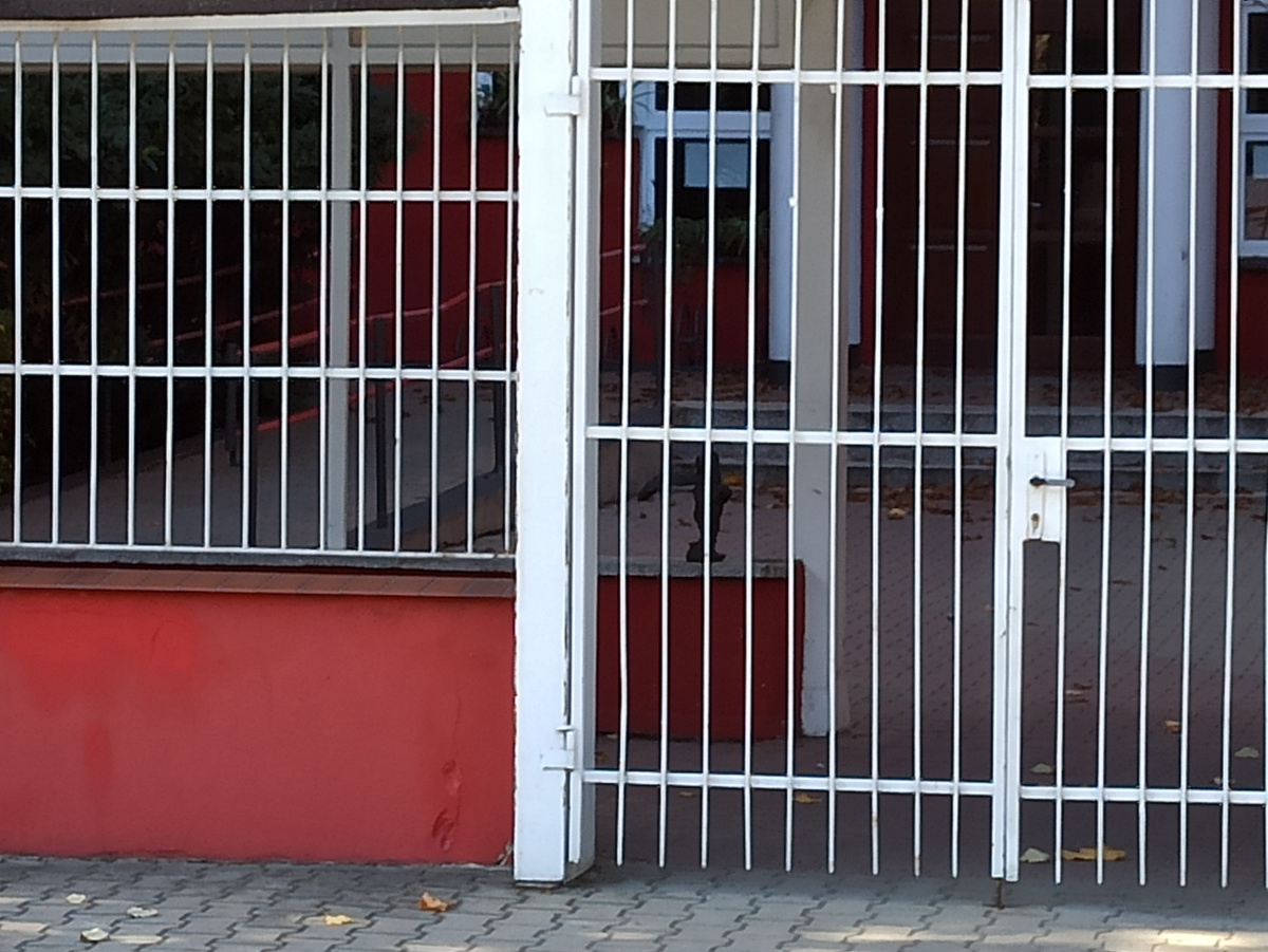 Foto zwerg Trzynastek
