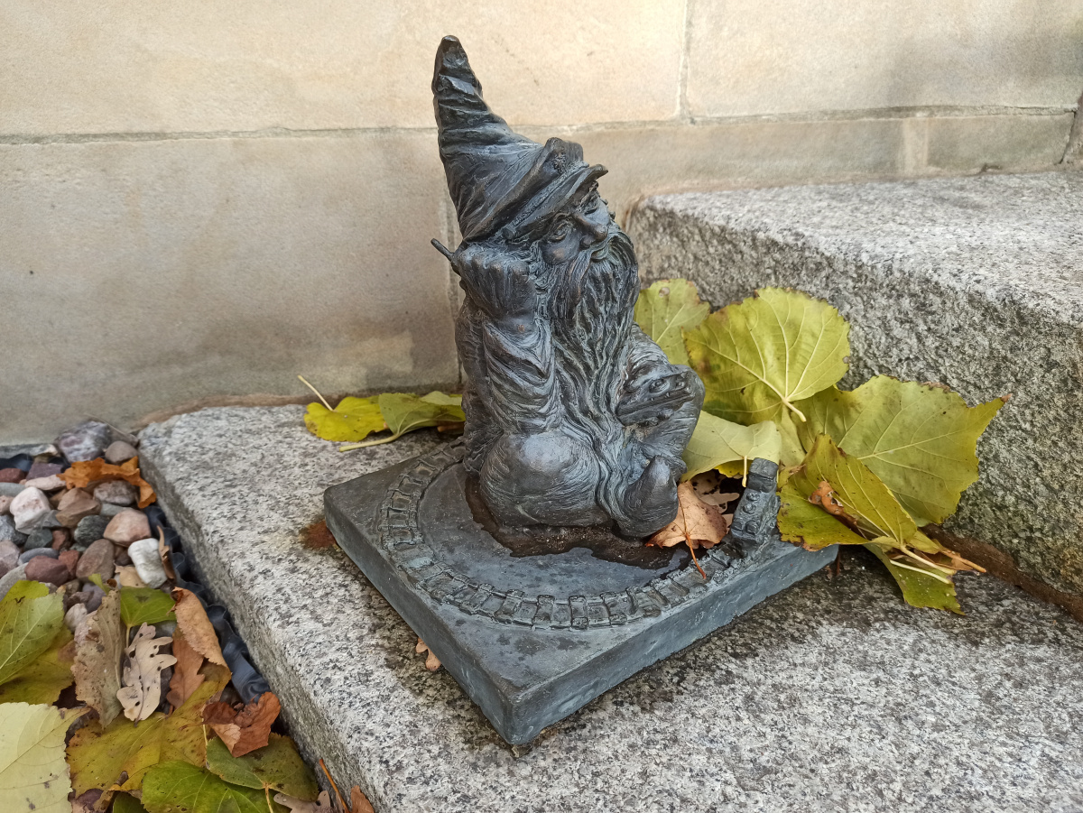 Photo of dwarf Kolejarz Brochowski