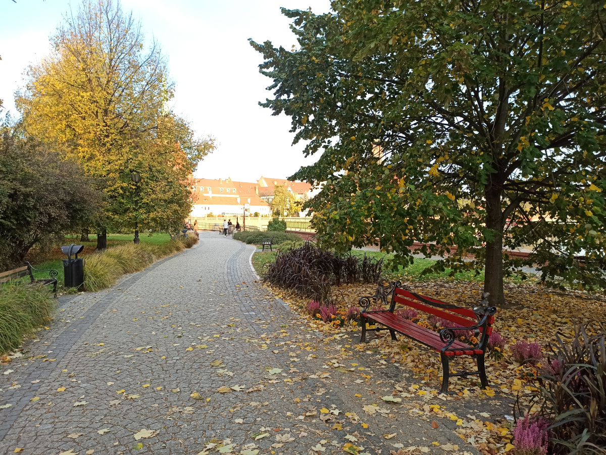Foto vom Standort des Zwerges zwerge Julianka i Wromeo (ławka WROC-lovka)