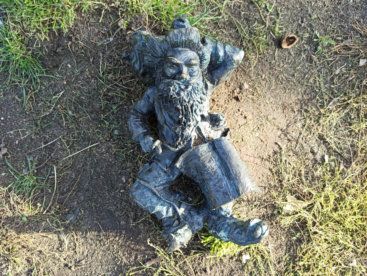 Foto zwerg Dworzan 2 (Leżący na trawie)