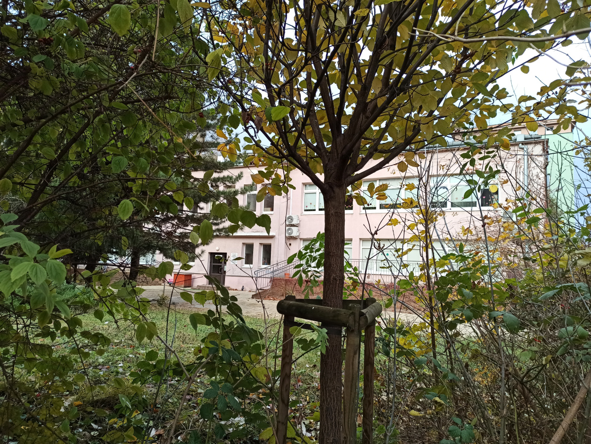 Foto vom Standort des Zwerges zwerg Przedszkoluduś