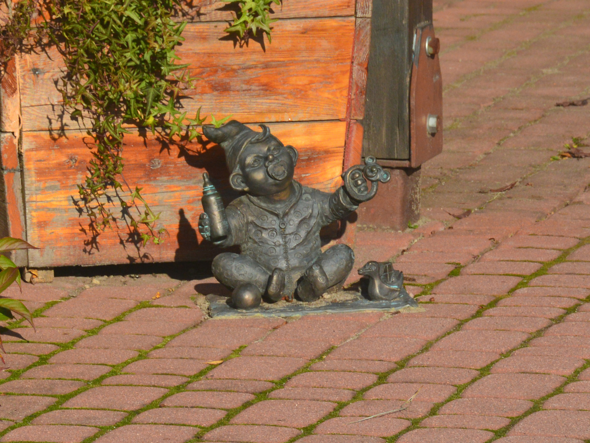 Foto zwerg No name