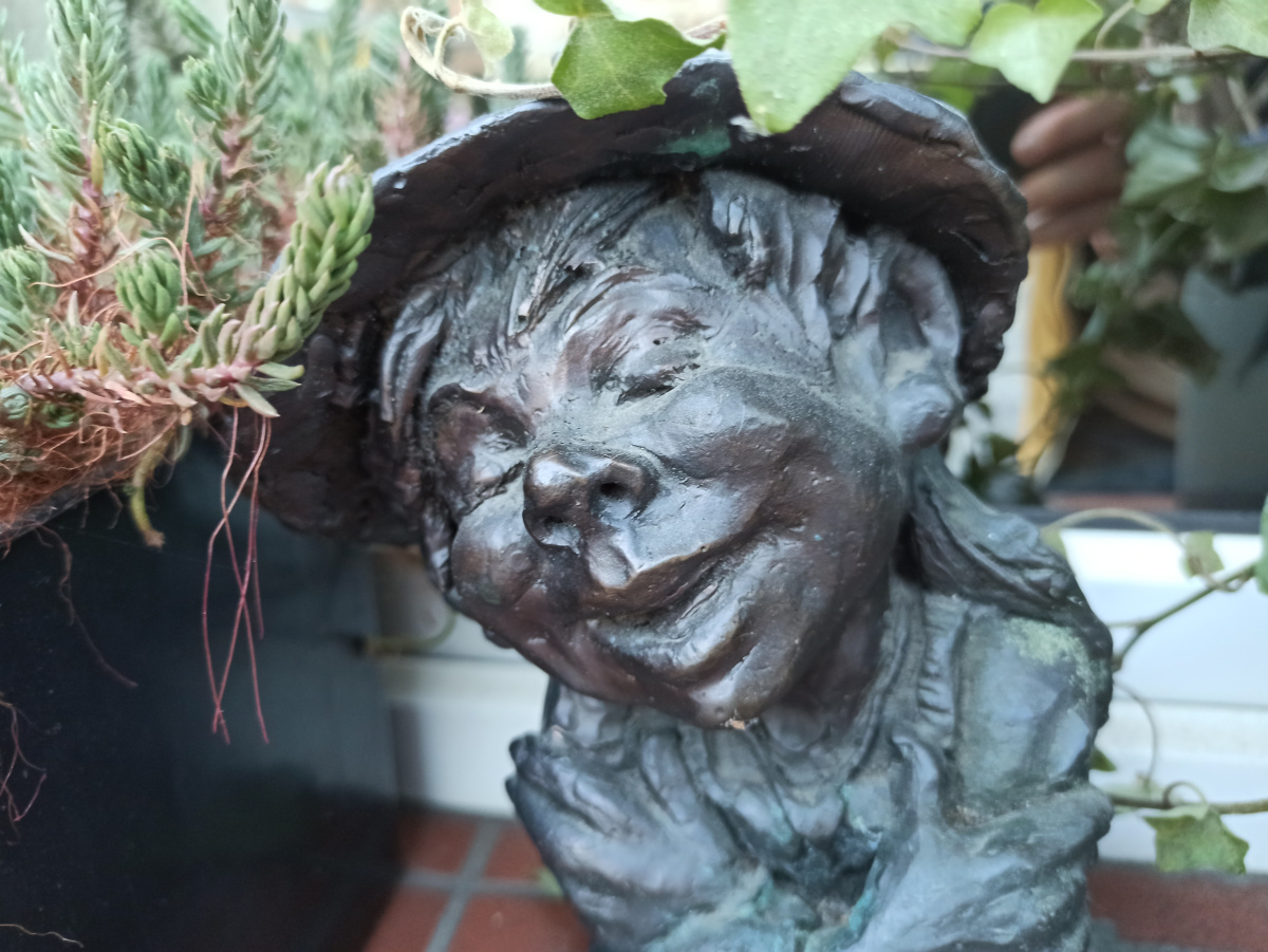 Photo of dwarf Akceptacja close-up