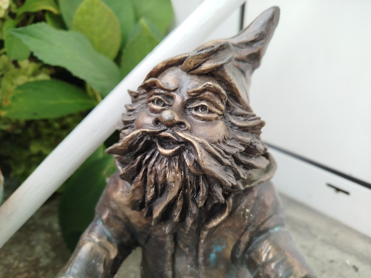 Foto zwerg Jagódka in Nahaufnahme