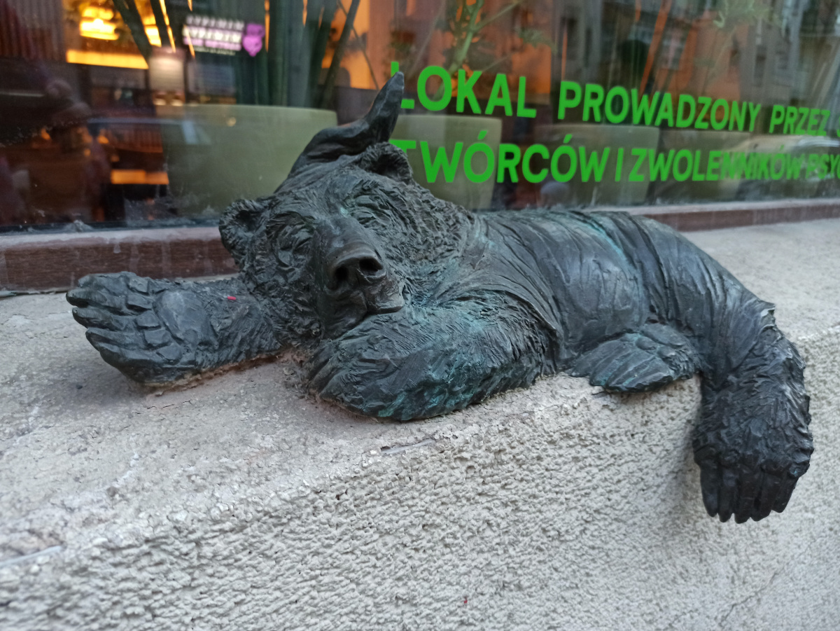 Photo of dwarf Miś Mokrej Łapki