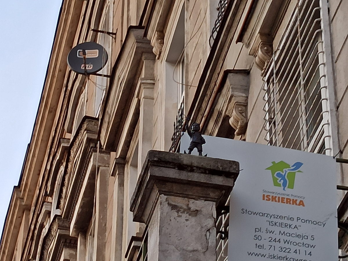 Foto enano Iskierka en primer plano