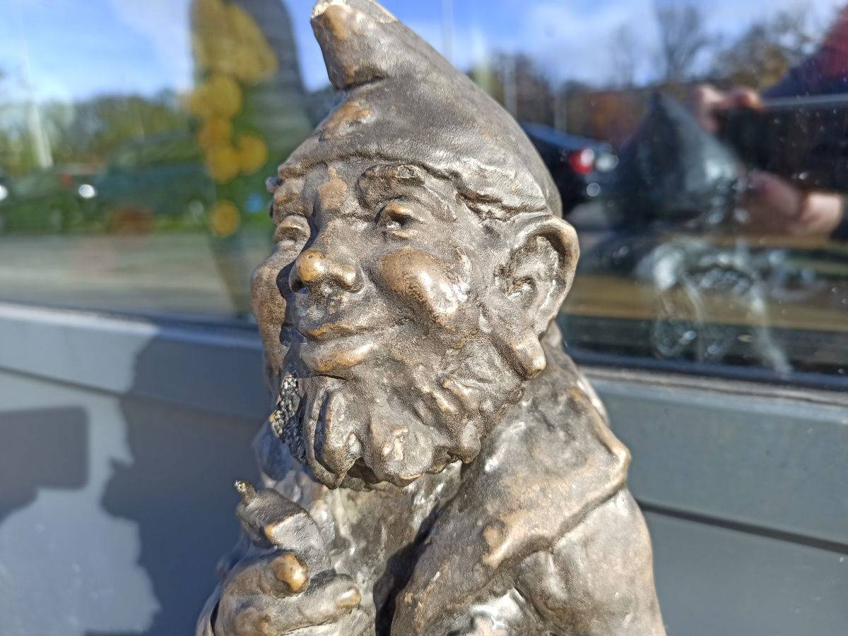 Foto zwerg Gopruś in Nahaufnahme