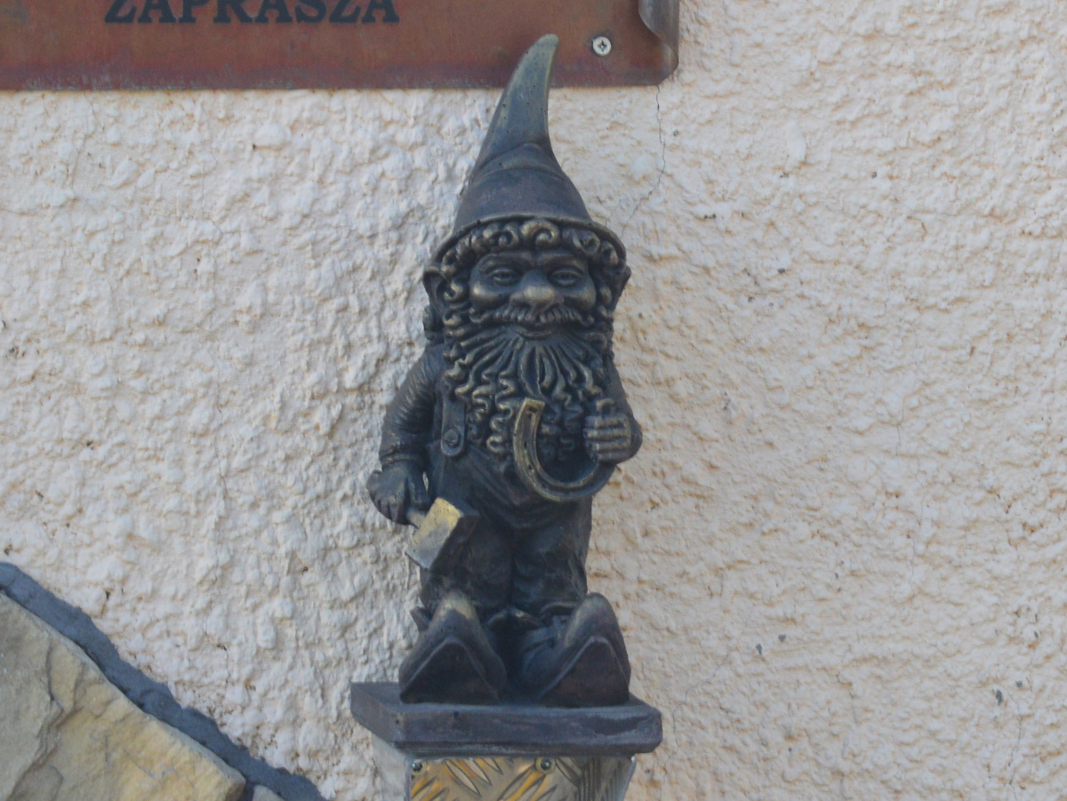Foto zwerg Dachblaszek