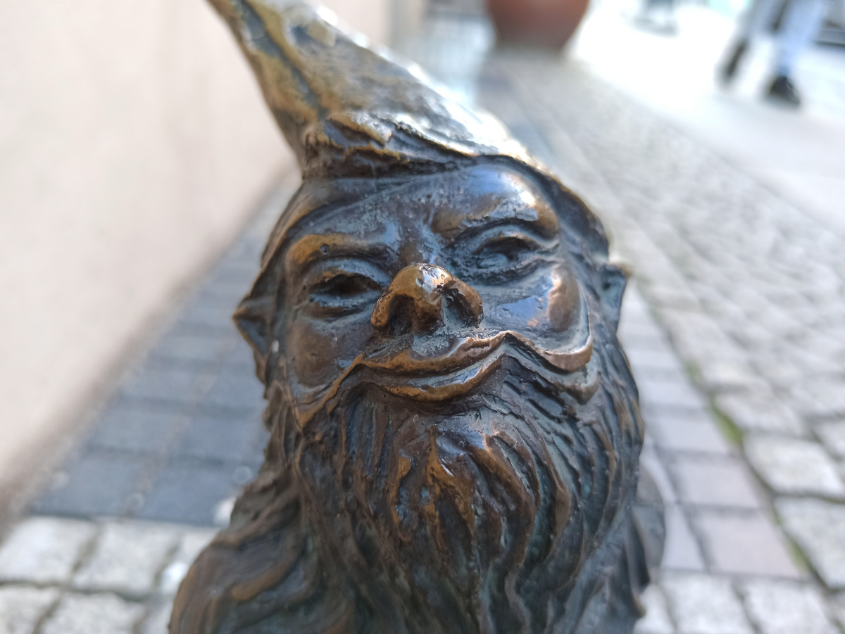 Foto zwerg Arcik Podróżnik (Podróżnik) in Nahaufnahme