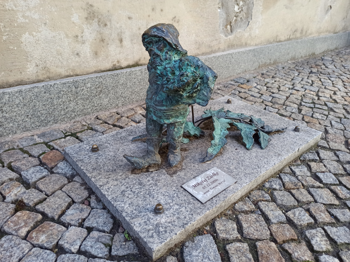 Foto zwerg Mikołaj Ziółko
