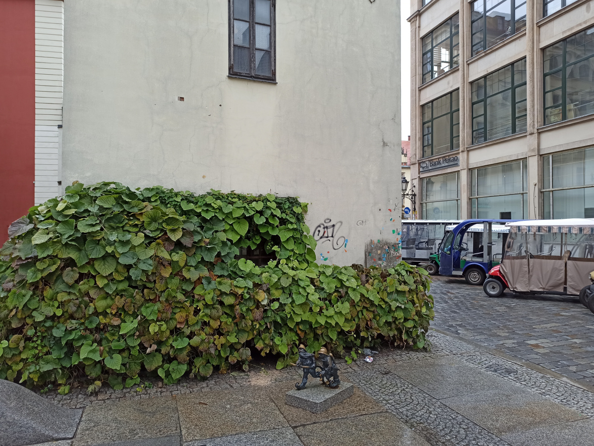 Foto vom Standort des Zwerges Pożarek II