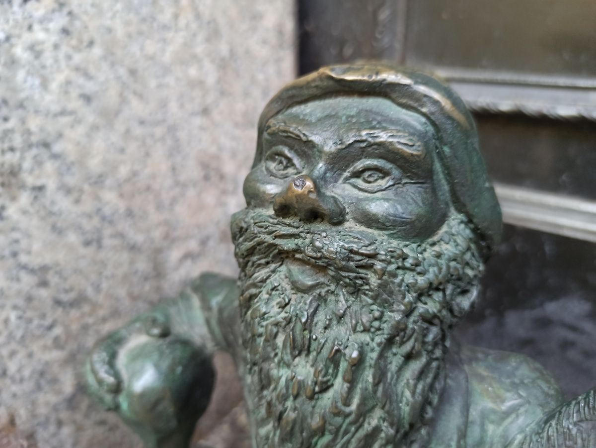 Foto zwerg Rejent in Nahaufnahme