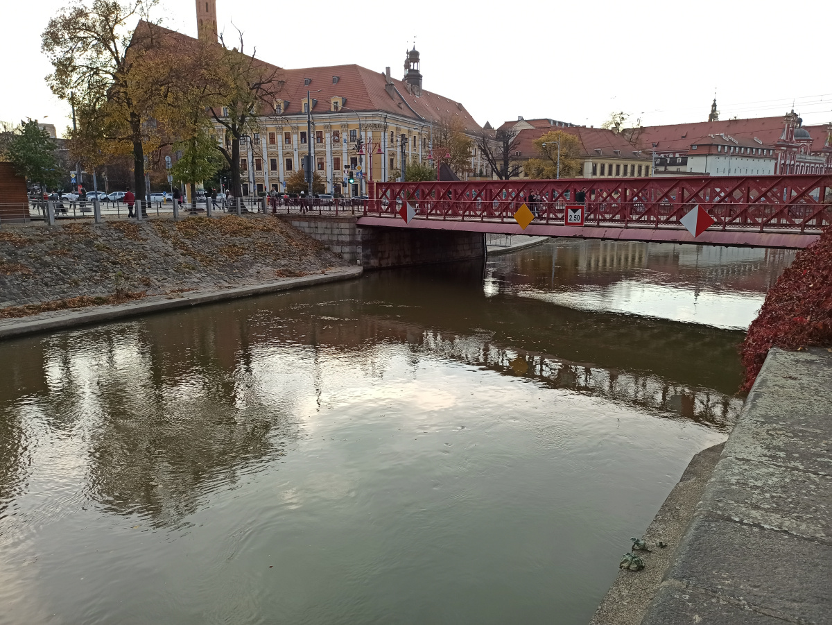 Photo of the dwarf's location of dwarf Pracz Odrzański