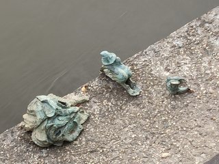 Photo of the dwarf Pracz Odrzański