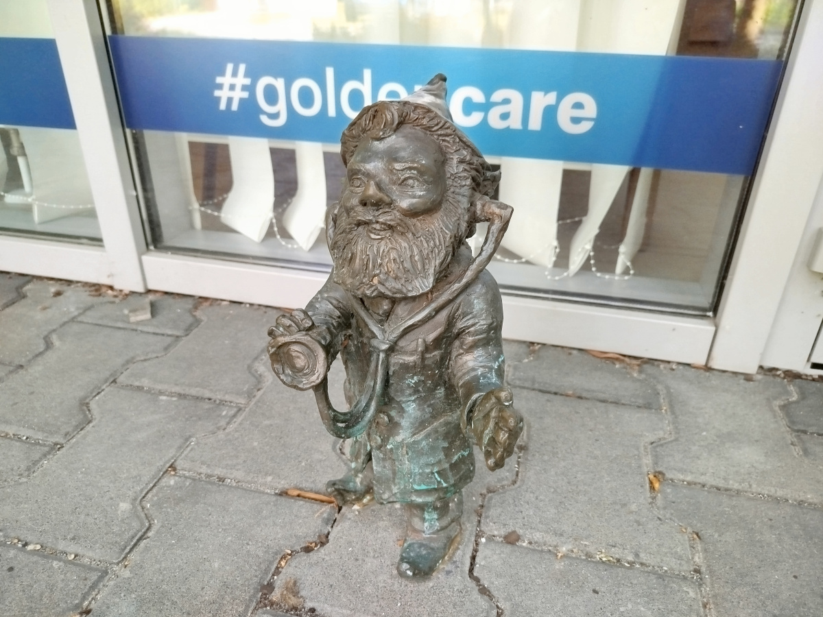 Foto zwerg Golduś