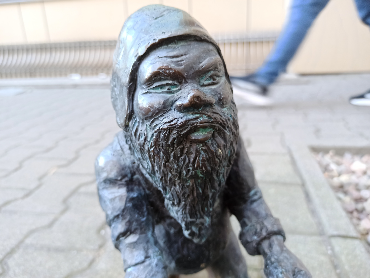 Foto zwerg Lappek in Nahaufnahme