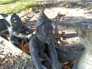Foto eines Zwerges Wioślarz 5