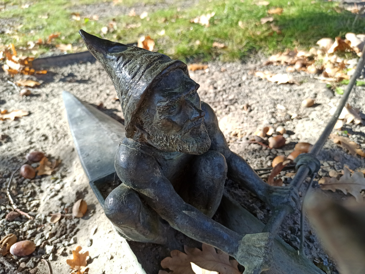 Foto zwerg Wioślarz 8 in Nahaufnahme