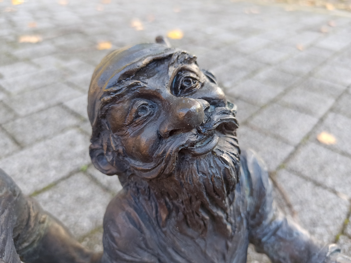 Foto zwerg Senior in Nahaufnahme