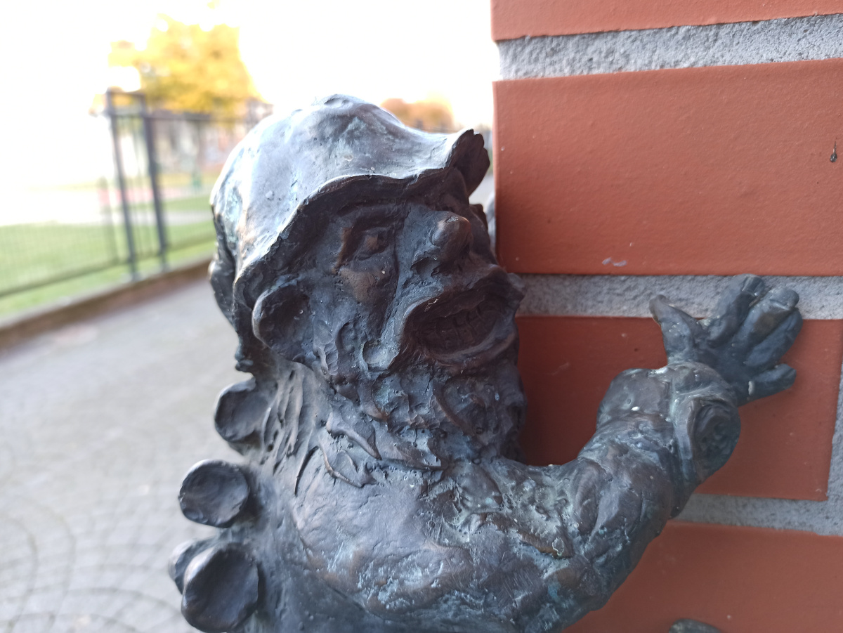 Foto zwerg Implantek in Nahaufnahme