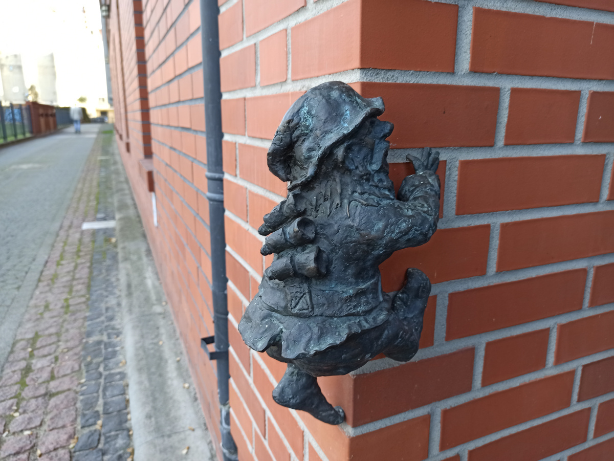 Foto zwerg Implantek