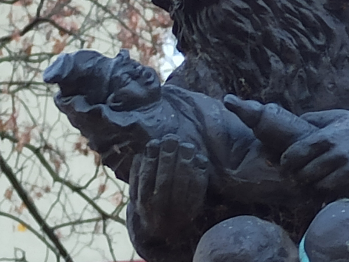 Foto zwerg Krasnomaleństwo in Nahaufnahme