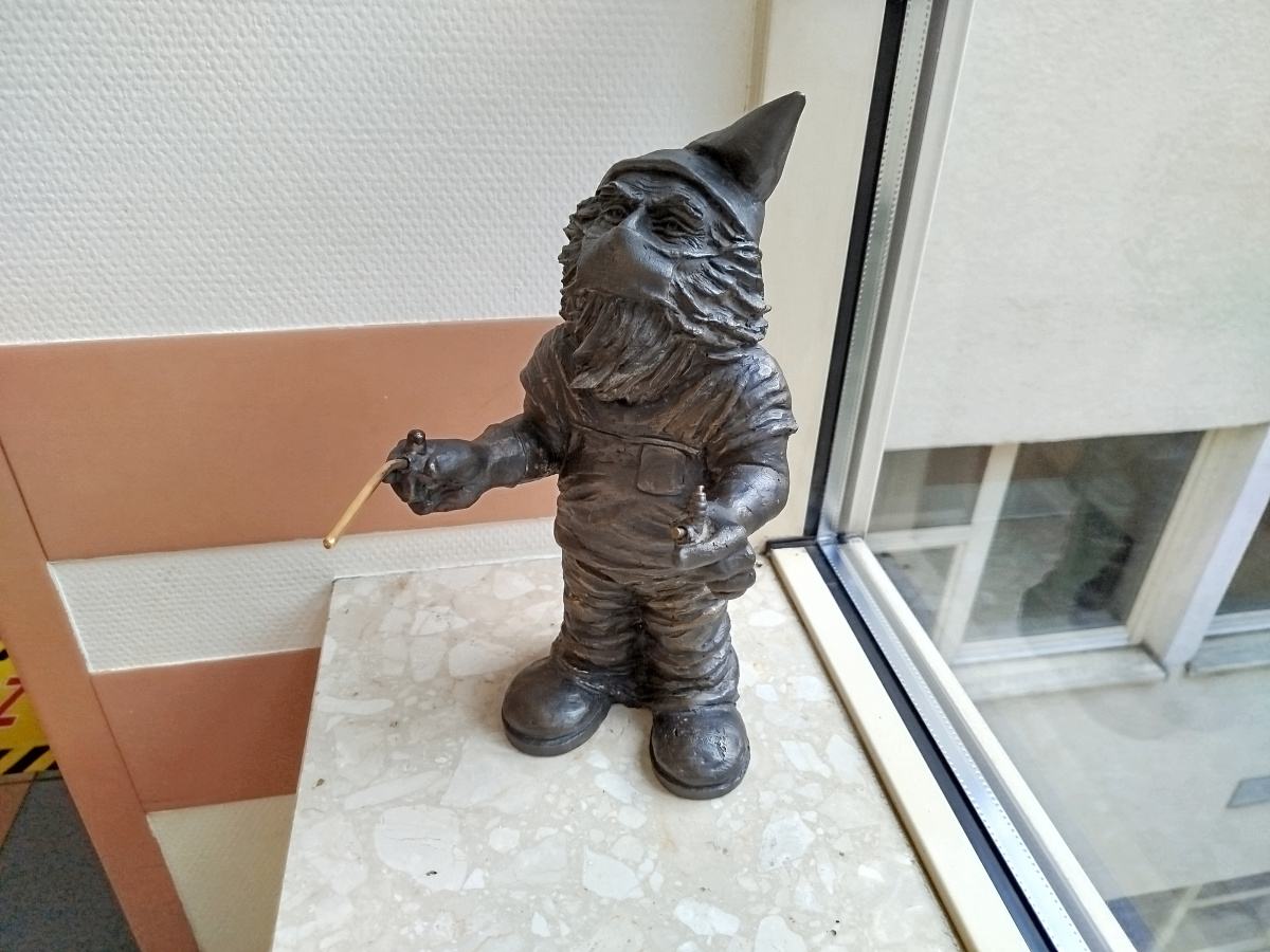 Foto zwerg Endoskopek