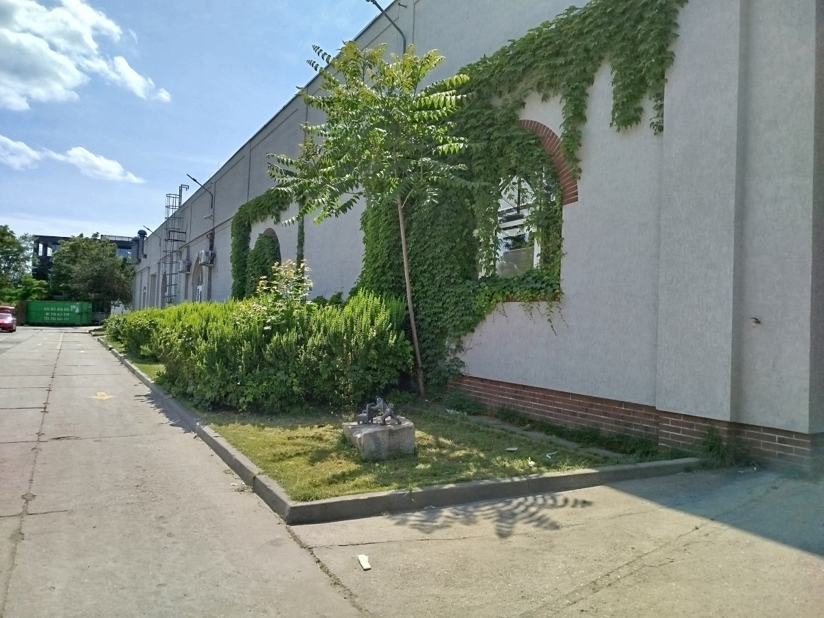 Foto vom Standort des Zwerges zwerg Recykliniusz (Recykliusz)