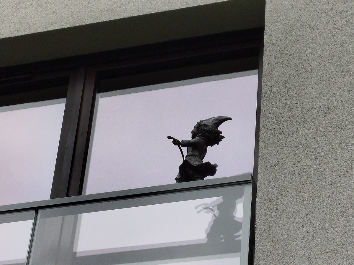 Zdjęcie krasnalki Angel Wings (Linoskoczka) w zbliżeniu