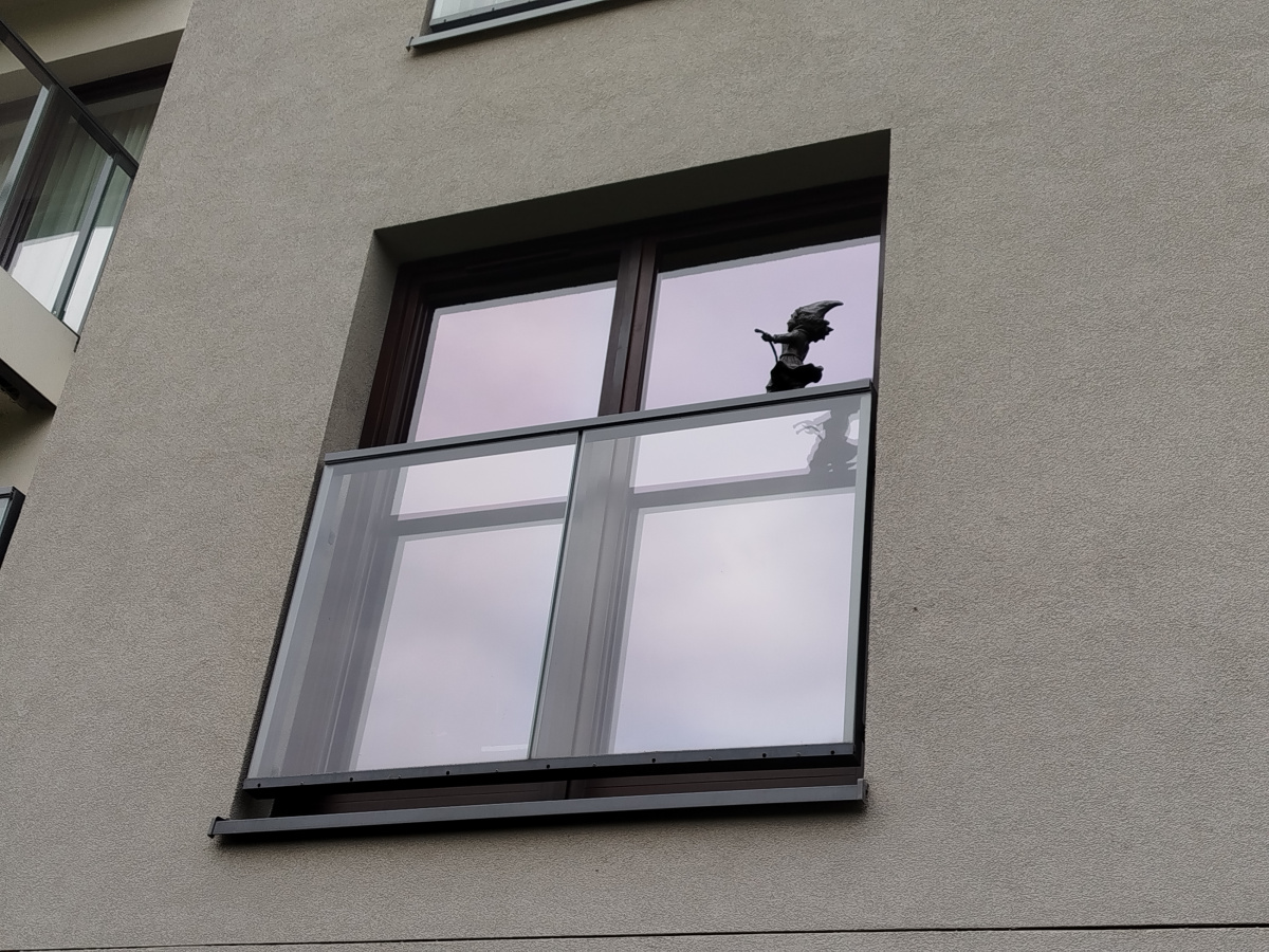 Zdjęcie krasnalki Angel Wings (Linoskoczka)