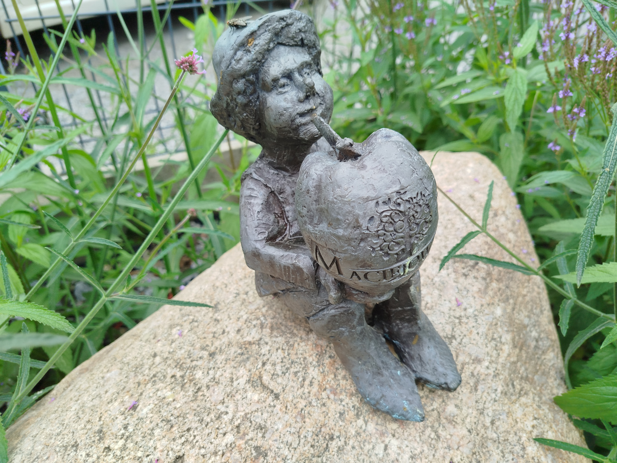 Photo of dwarf Sadeusz (Maciejowy Sad)