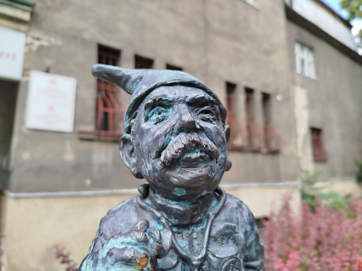Foto zwerg PeCeK in Nahaufnahme