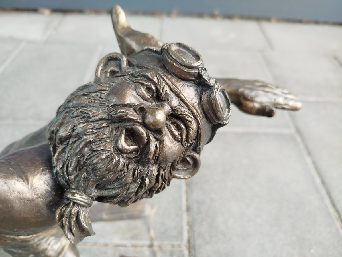 Photo of dwarf Pływak close-up