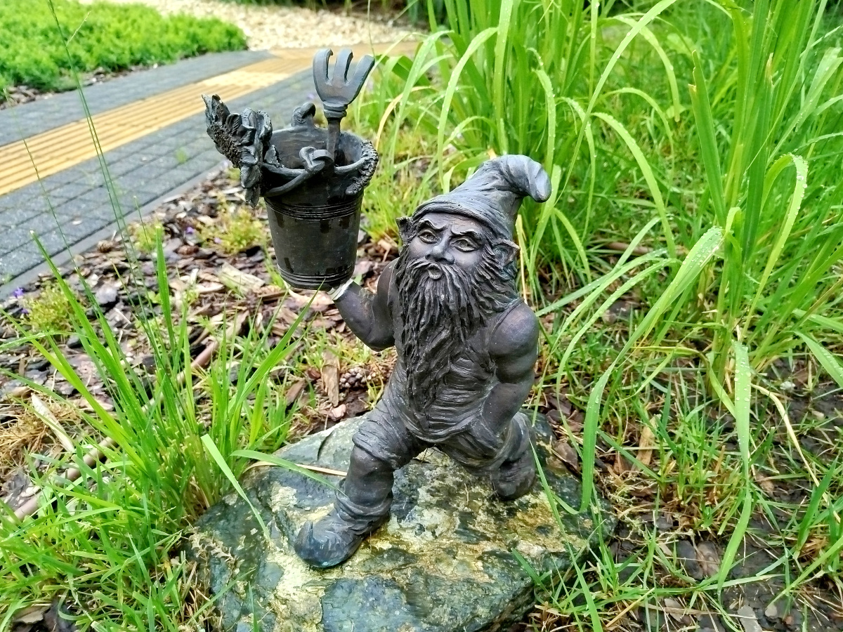 Photo of dwarf Ogrodnik Florek