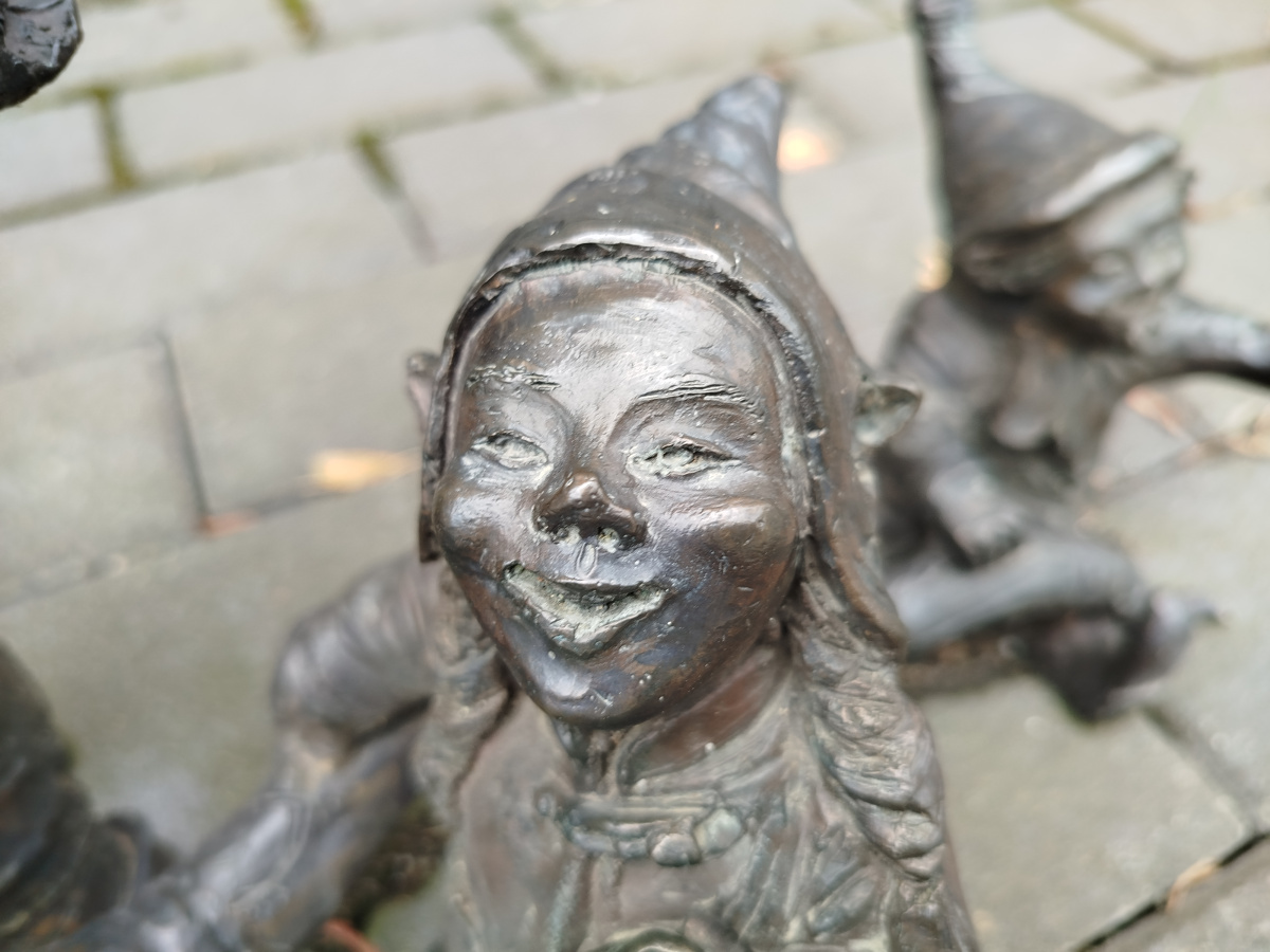 Photo of dwarf Wesoły Skrzat III close-up
