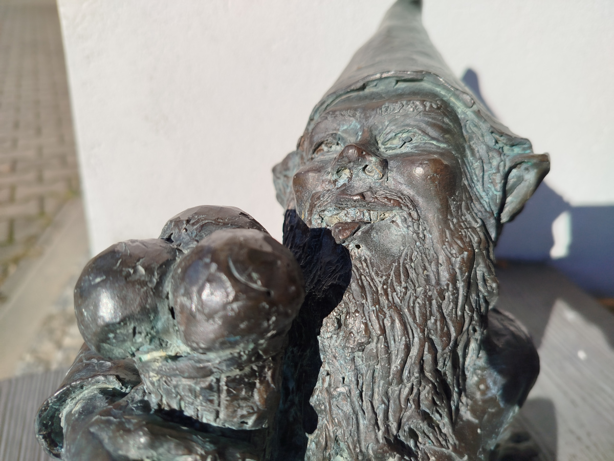 Photo of dwarf Krasno-lód Bąkuś close-up